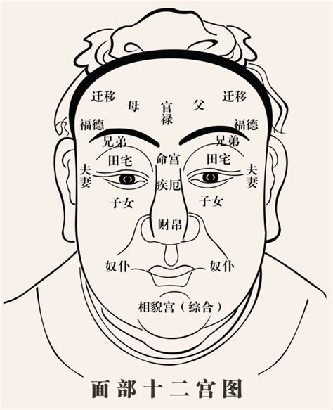 面相左右怎麼看